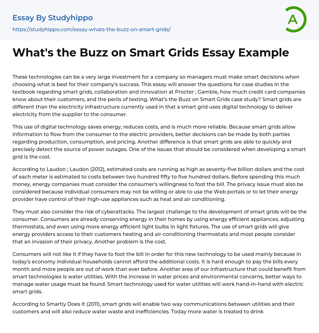 What’s the Buzz on Smart Grids Essay Example