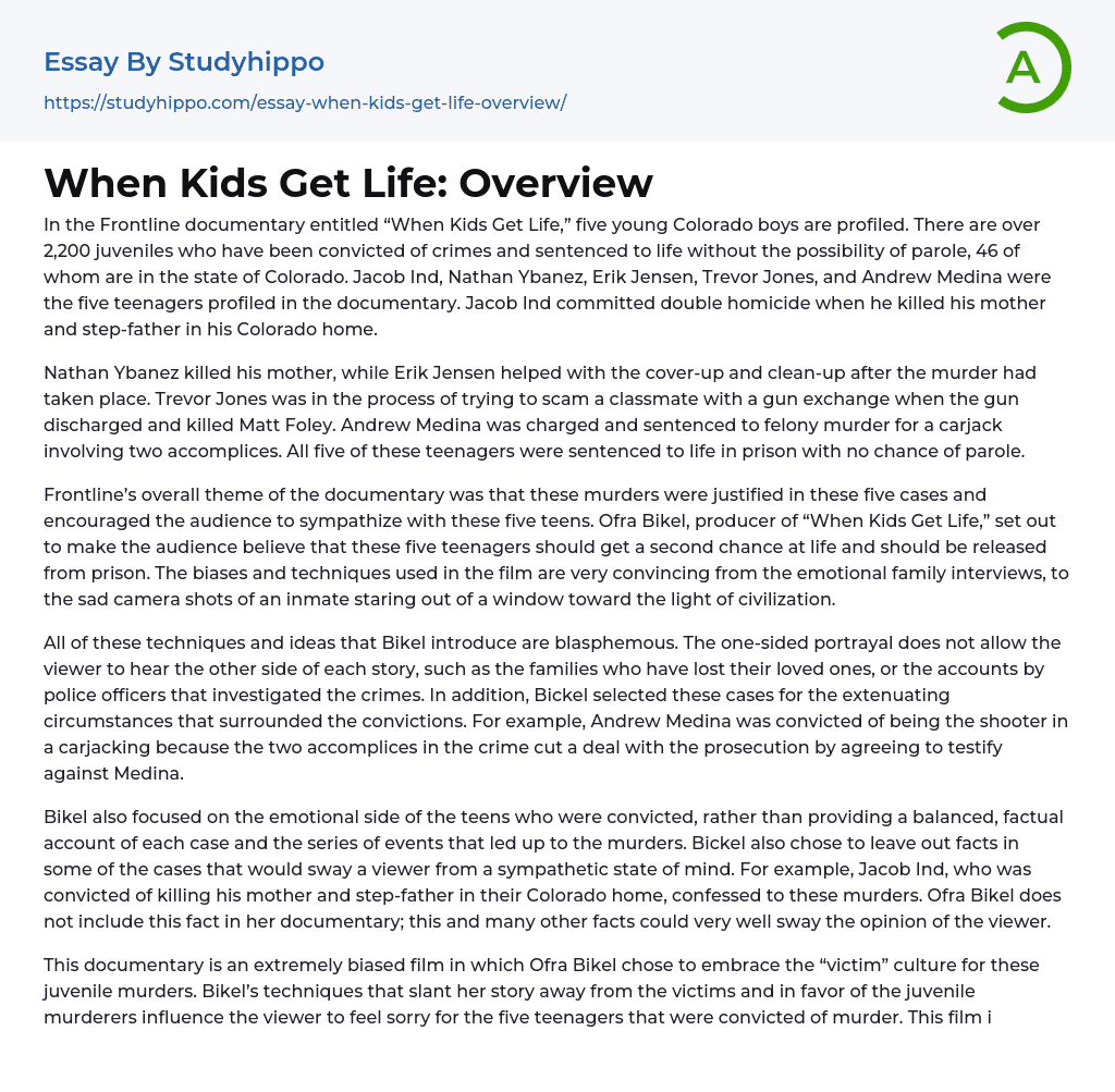 When Kids Get Life: Overview Essay Example