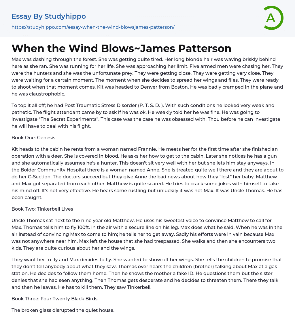 When the Wind Blows~James Patterson Essay Example
