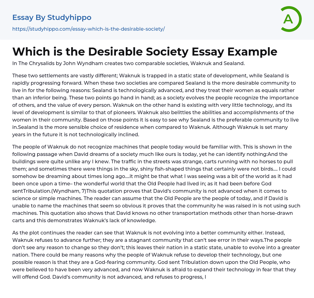 Which is the Desirable Society Essay Example