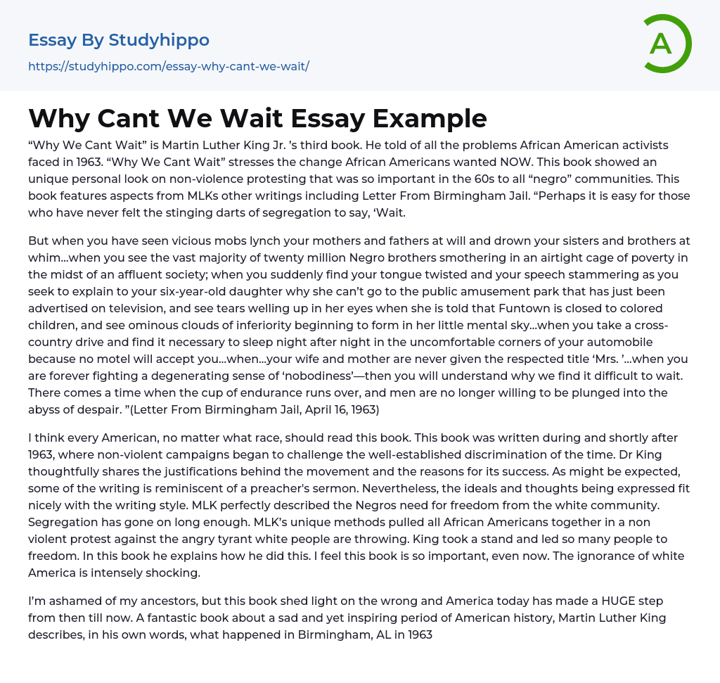Why Cant We Wait Essay Example