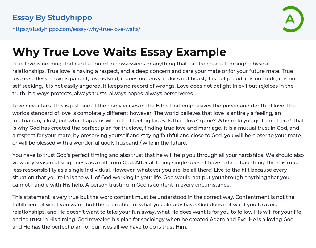 Why True Love Waits Essay Example