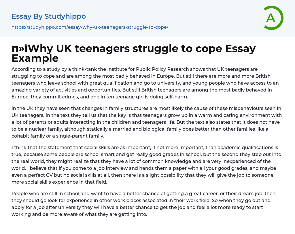 Why UK teenagers struggle to cope Essay Example