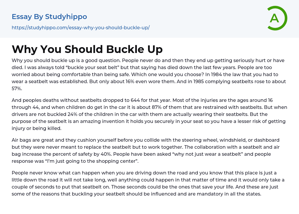 Why You Should Buckle Up Essay Example