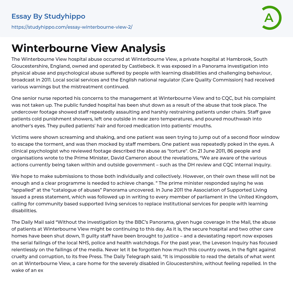Winterbourne View Analysis Essay Example
