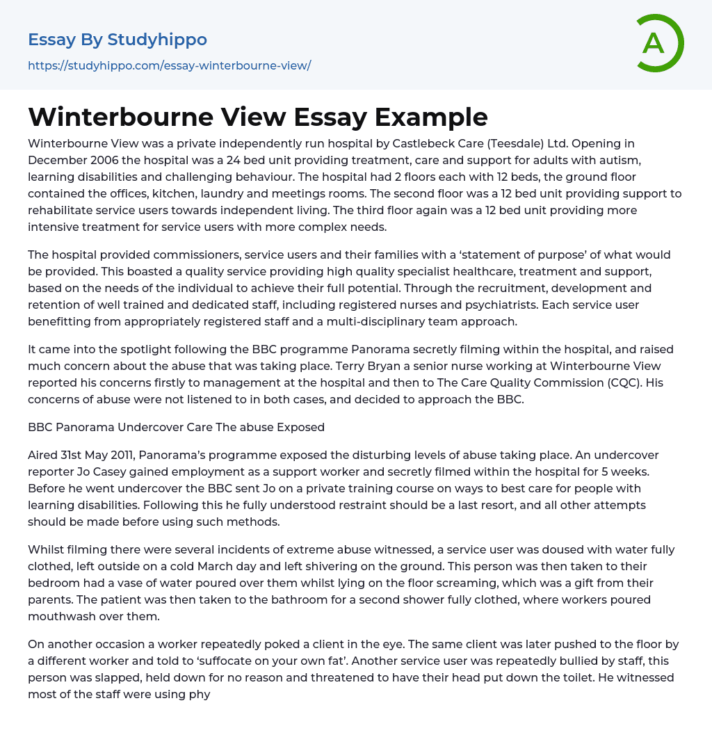 Winterbourne View Essay Example