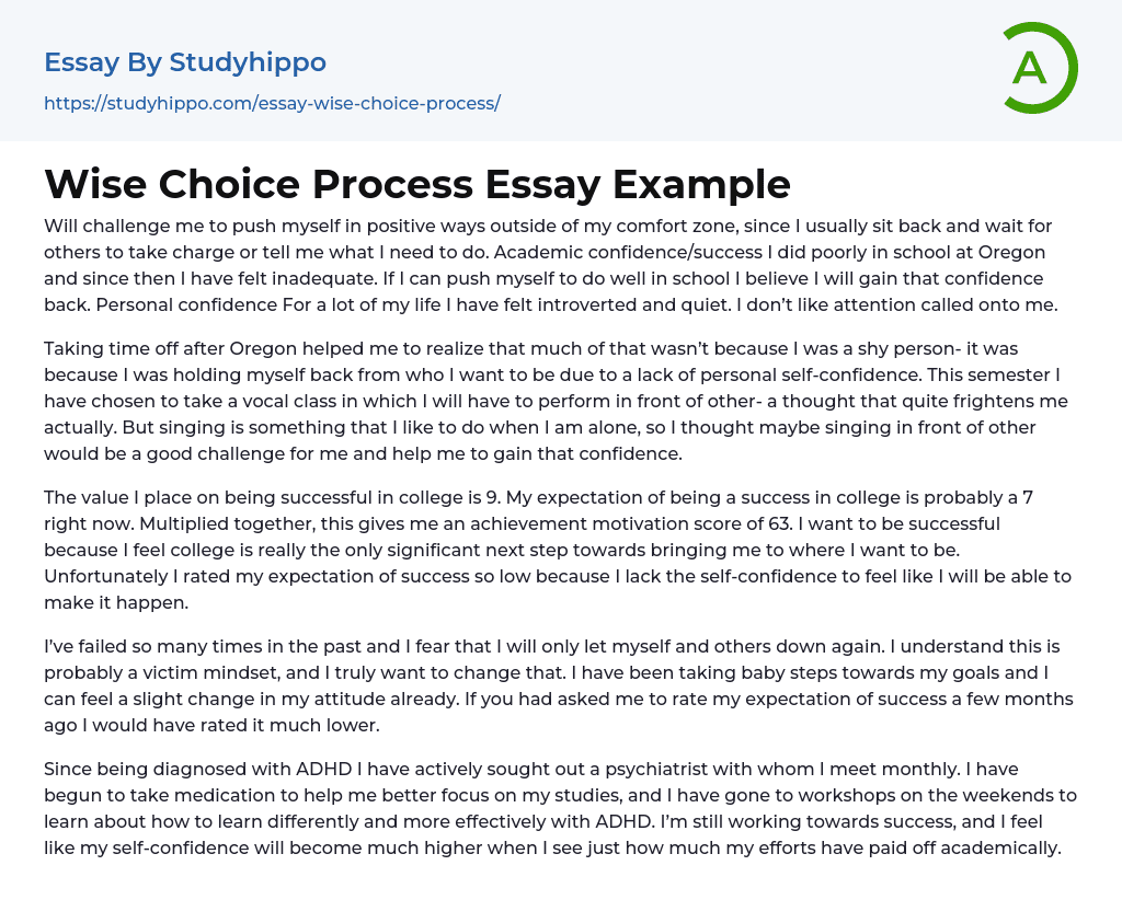 program choice essay