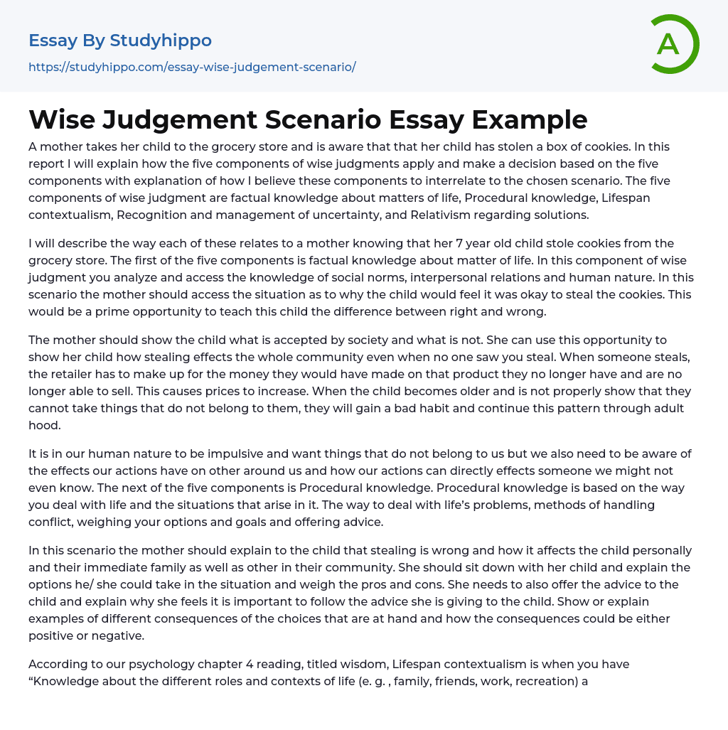 Wise Judgement Scenario Essay Example