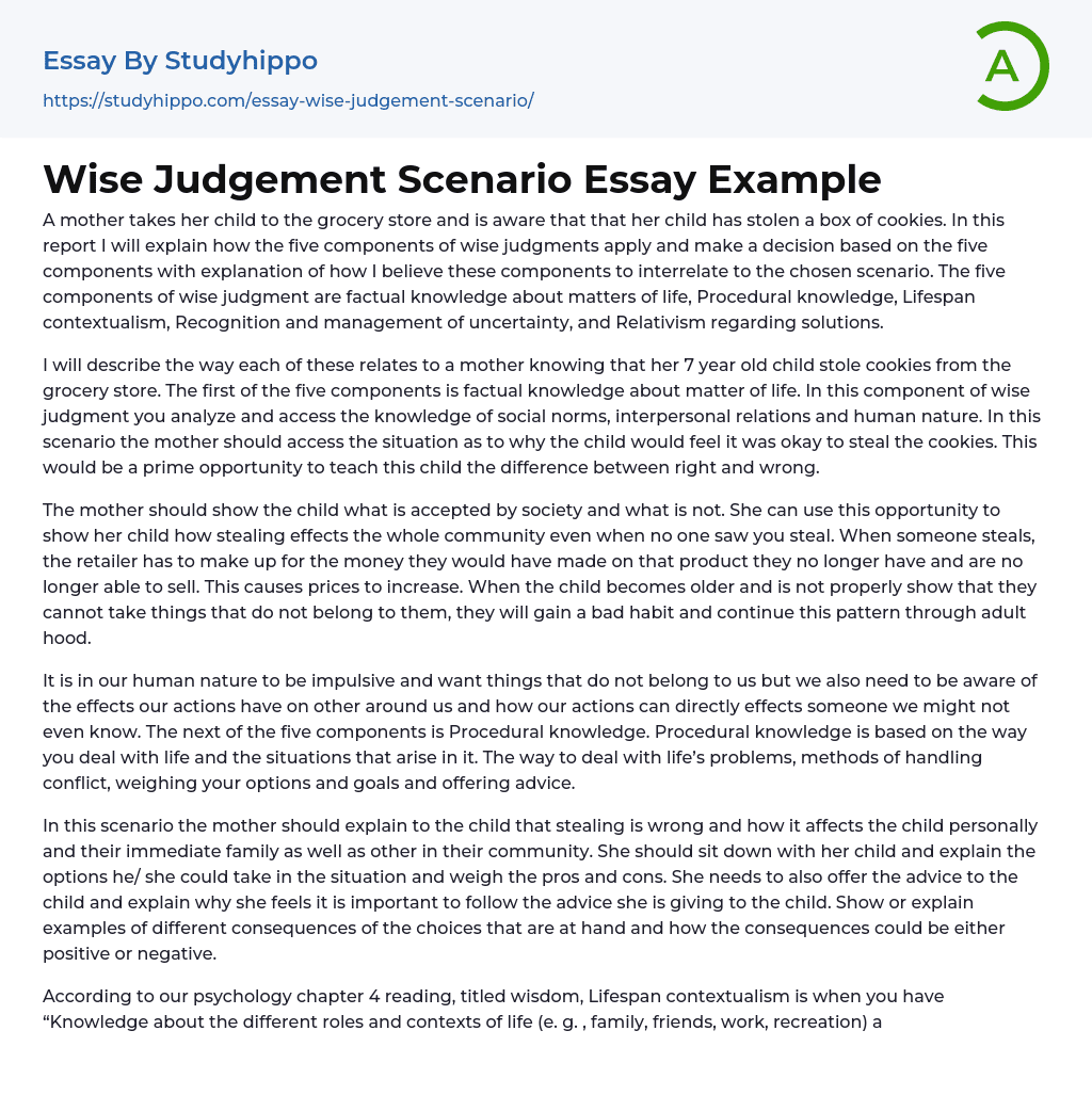 Wise Judgement Scenario Essay Example StudyHippo