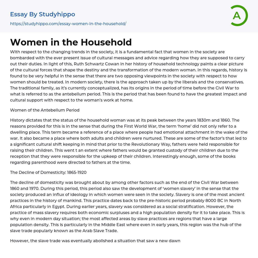 Women in the Household Essay Example