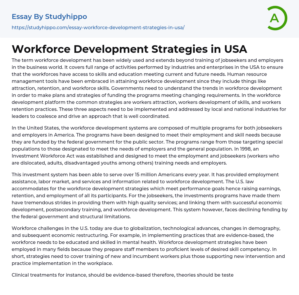 Workforce Development Strategies in USA Essay Example