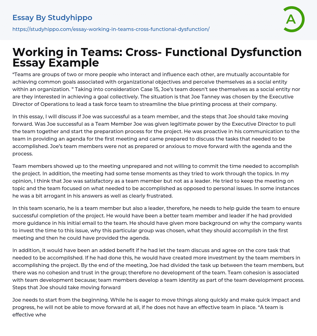 Working in Teams: Cross- Functional Dysfunction Essay Example