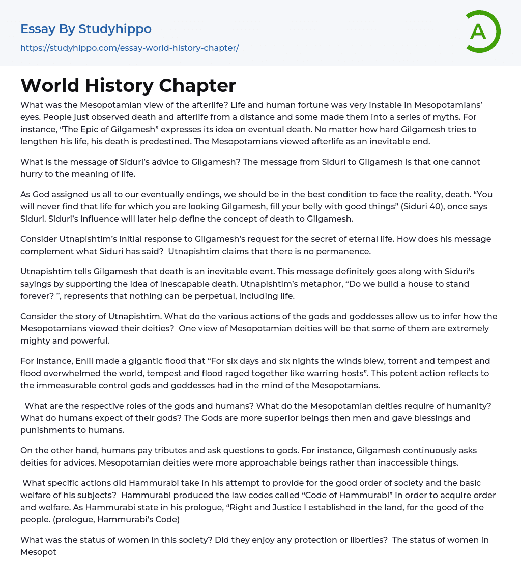World History Chapter Essay Example