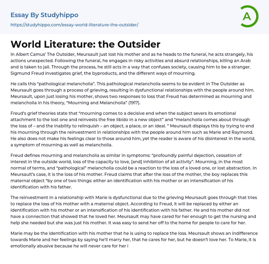 World Literature: the Outsider Essay Example