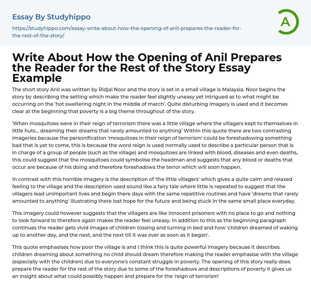 Write About How the Opening of Anil Prepares the Reader for the Rest of the Story Essay Example