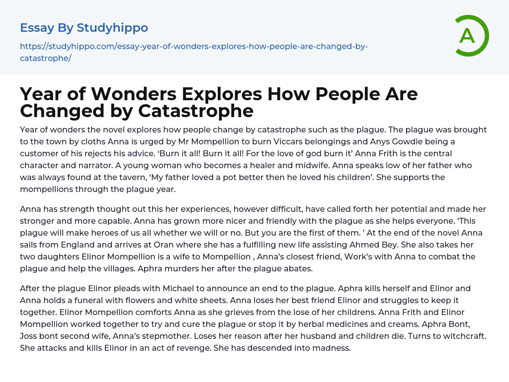Year of Wonders Explores How People Are Changed by Catastrophe Essay Example