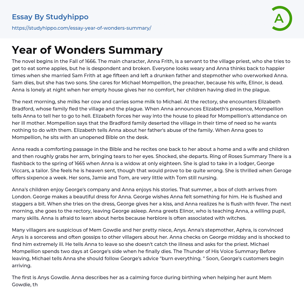 Year of Wonders Summary Essay Example