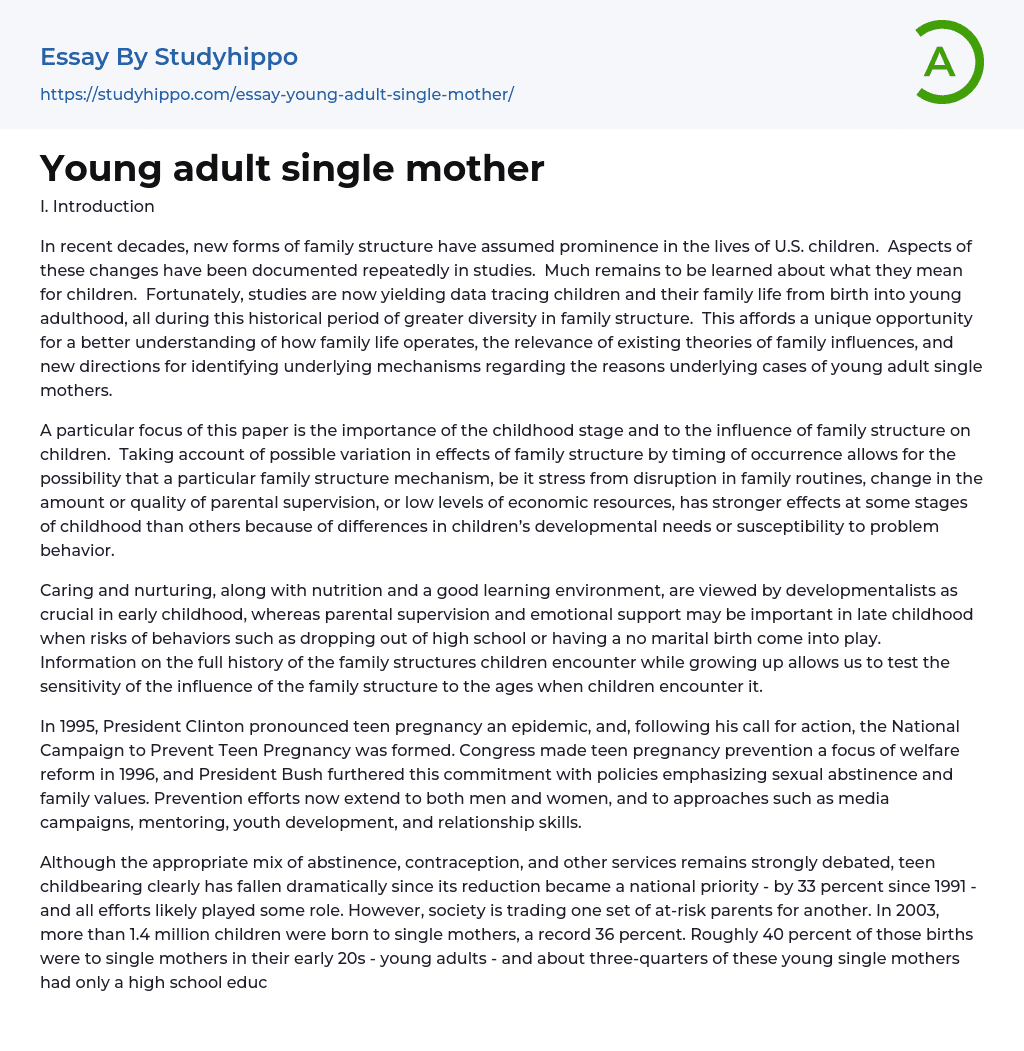 Young adult single mother Essay Example