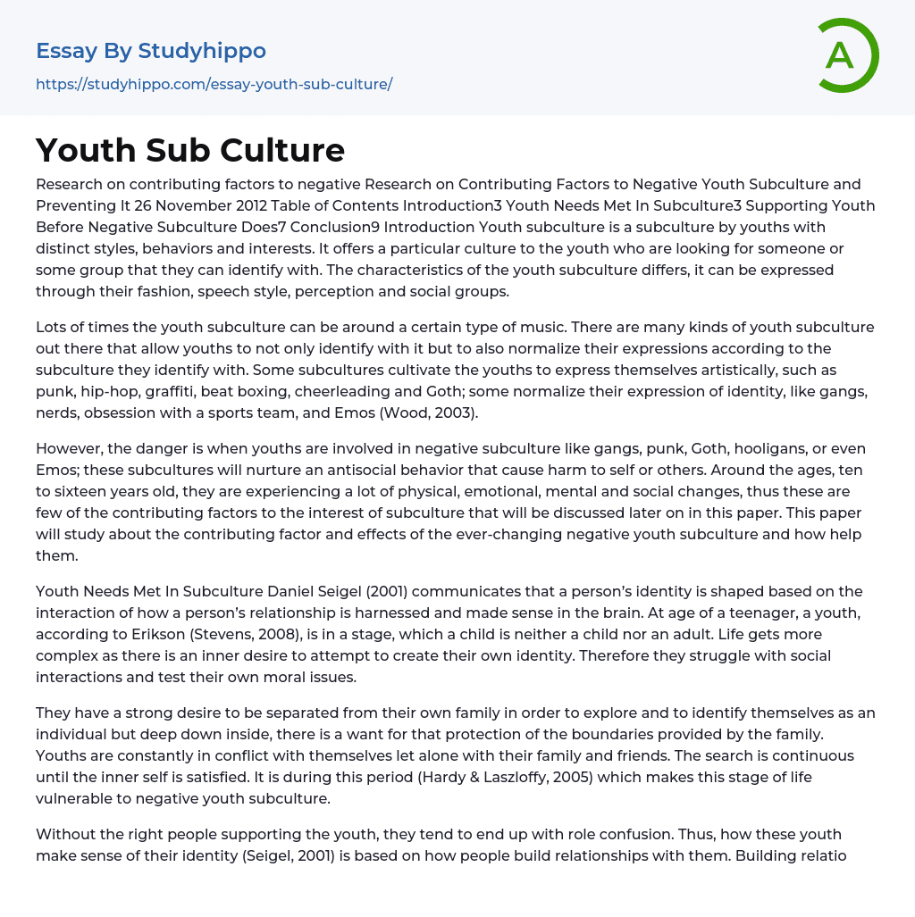 Youth Sub Culture Essay Example
