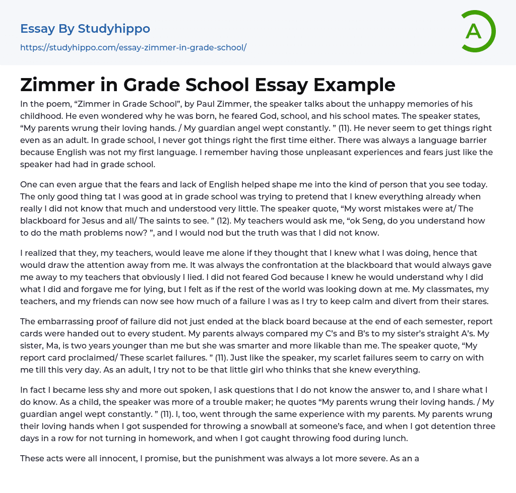 Zimmer in Grade School Essay Example