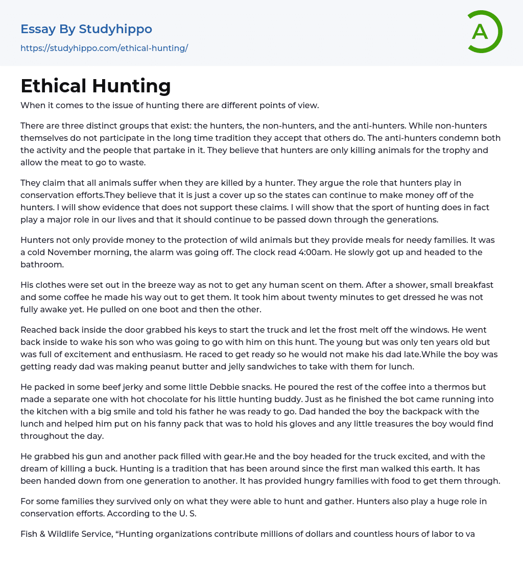 Ethical Hunting Essay Example