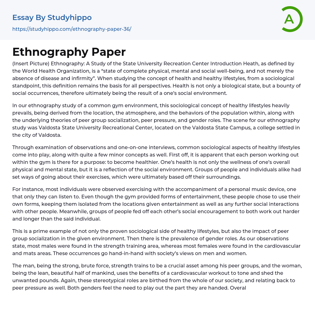 Ethnography Paper Essay Example