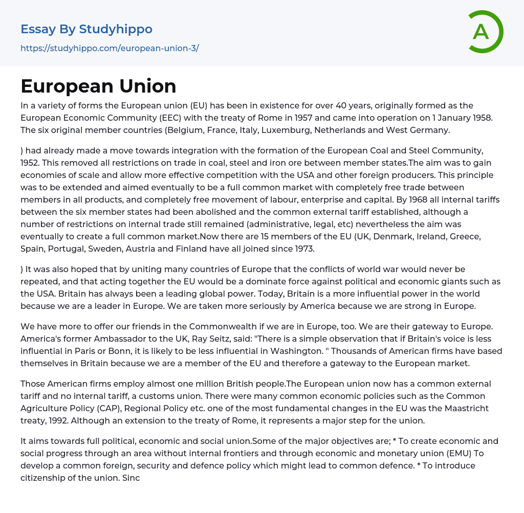 European Union Essay Example