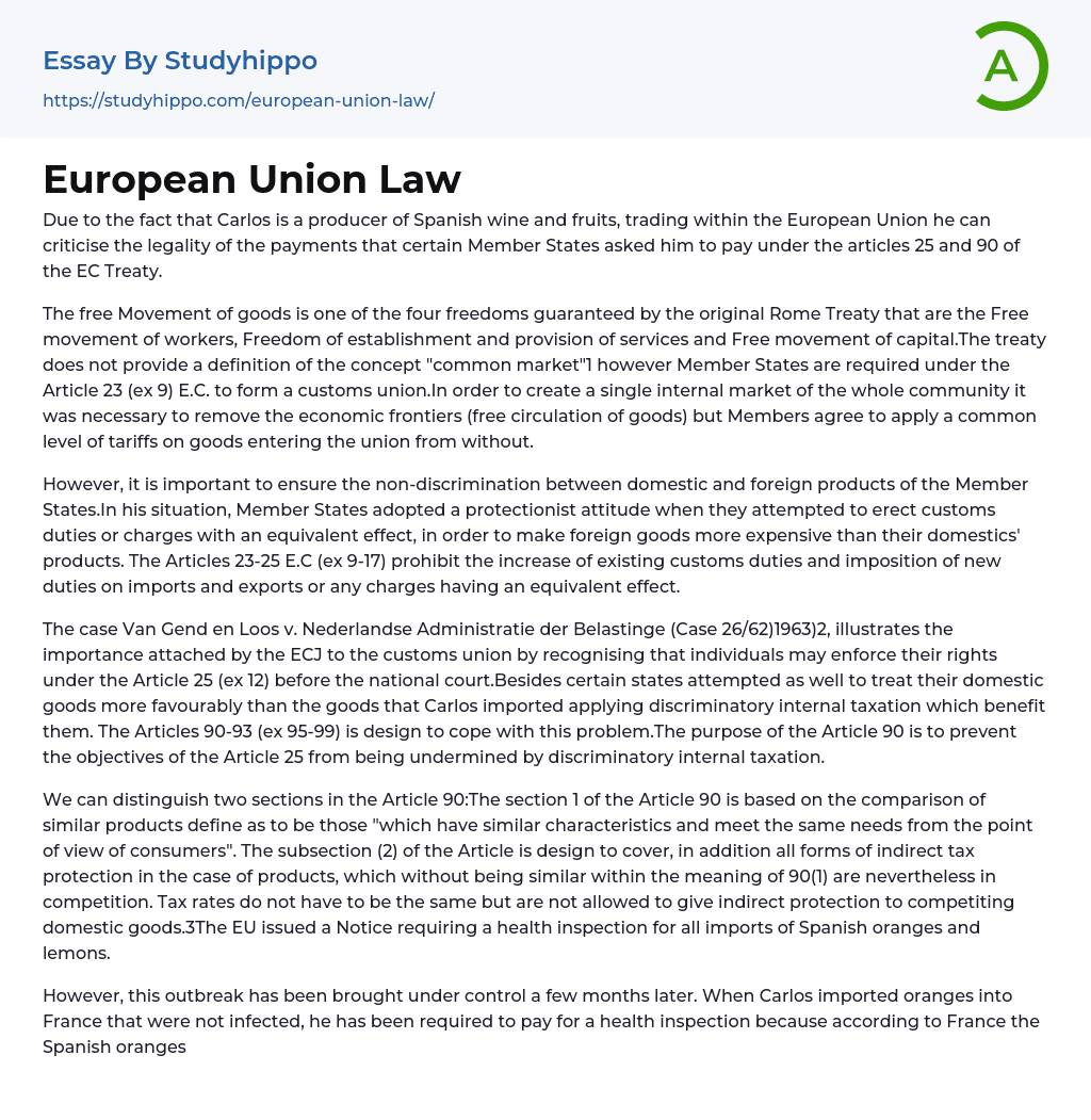 European Union Law Essay Example