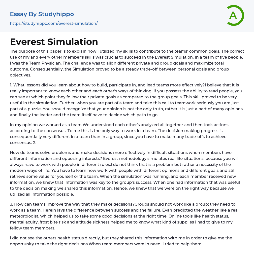 Everest Simulation Essay Example