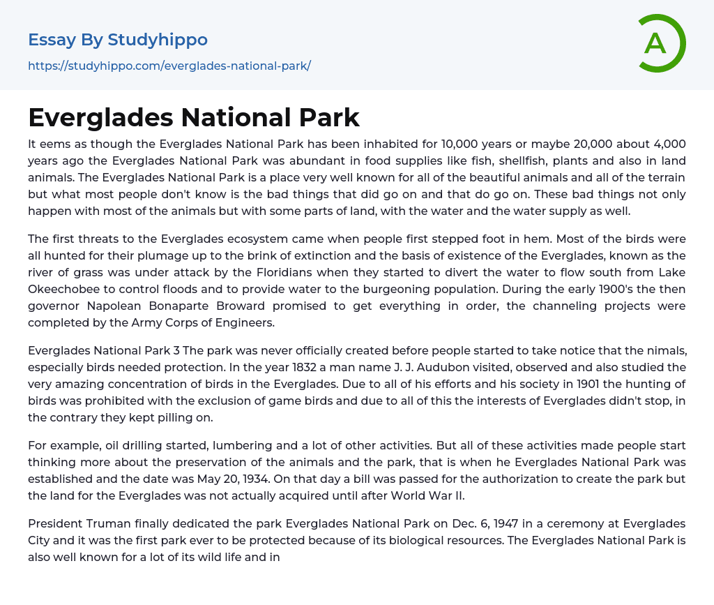 Everglades National Park Essay Example