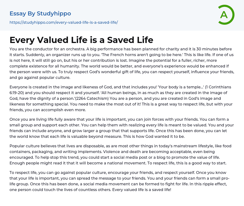 Every Valued Life is a Saved Life Essay Example
