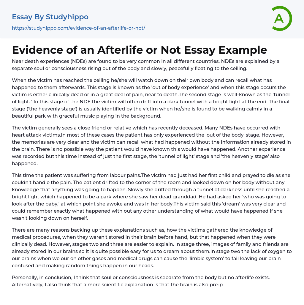 Evidence of an Afterlife or Not Essay Example