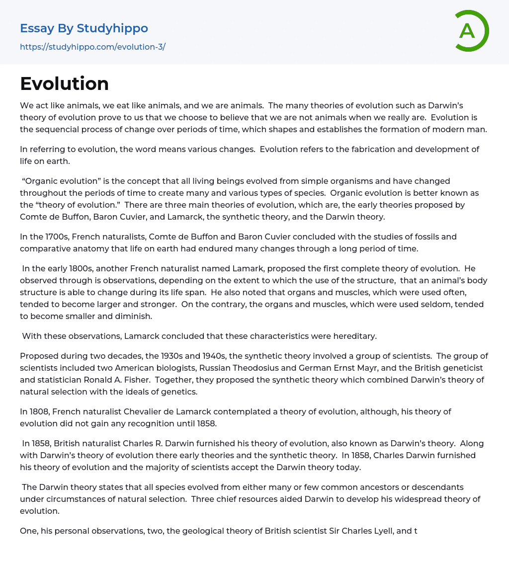 Evolution Essay Example