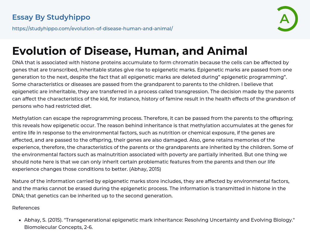 Evolution of Disease, Human, and Animal Essay Example