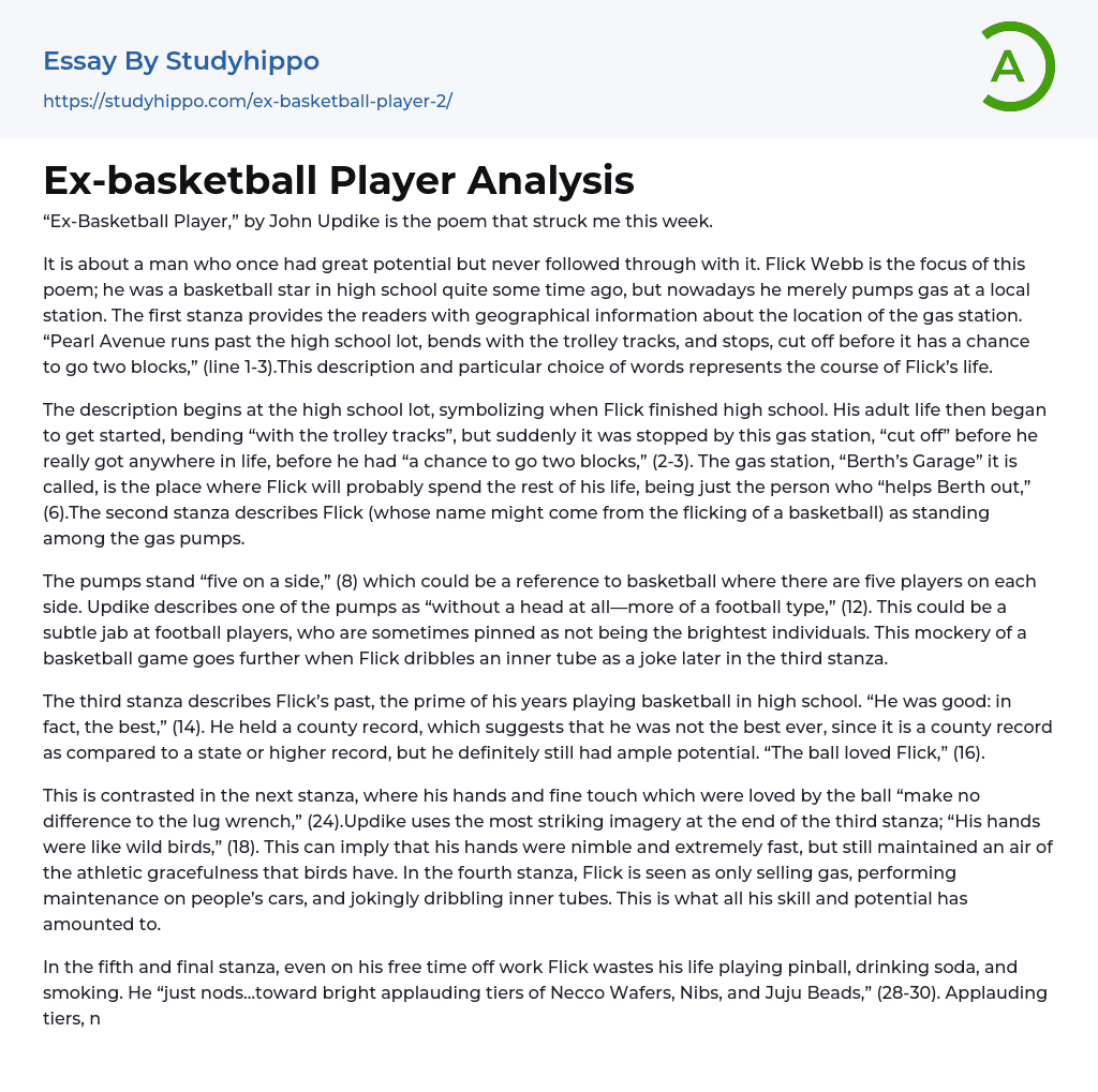 Ex-basketball Player Analysis Essay Example