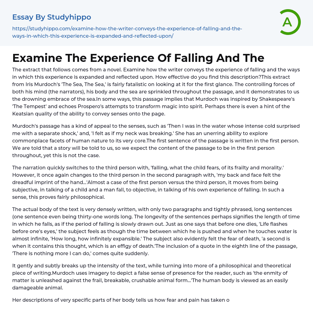 Examine The Experience Of Falling And The Essay Example