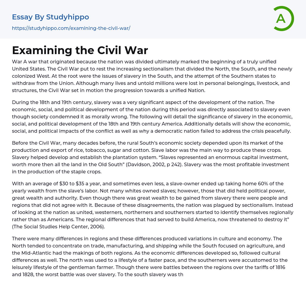 Examining the Civil War Essay Example