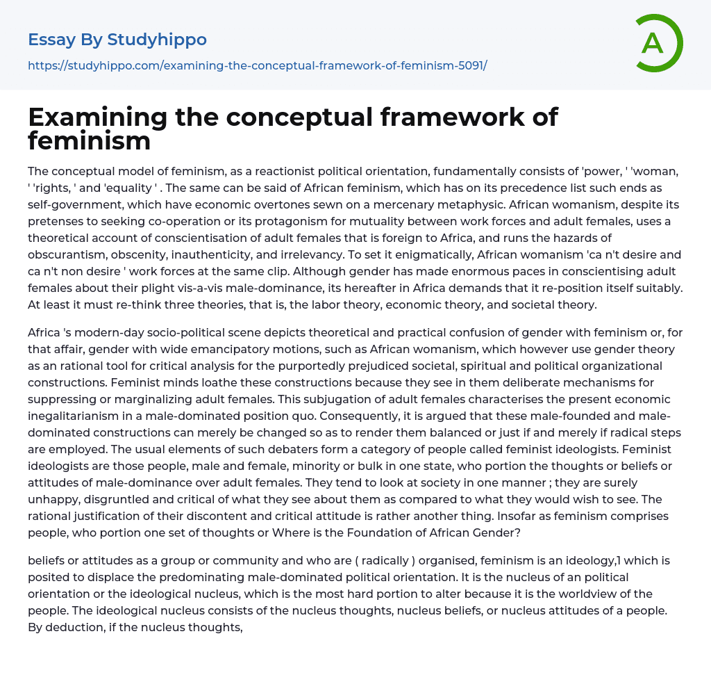 Examining The Conceptual Framework Of Feminism Essay Example