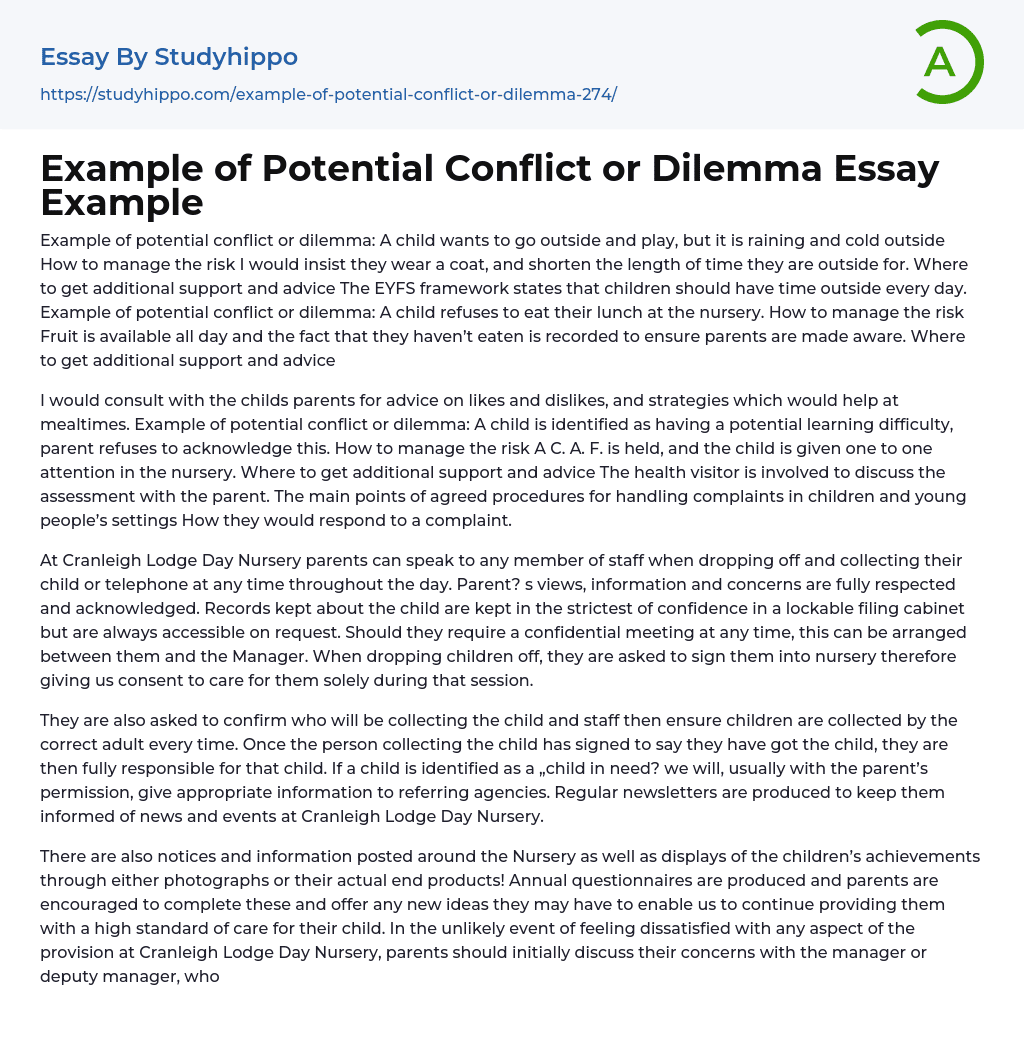 Example of Potential Conflict or Dilemma Essay Example