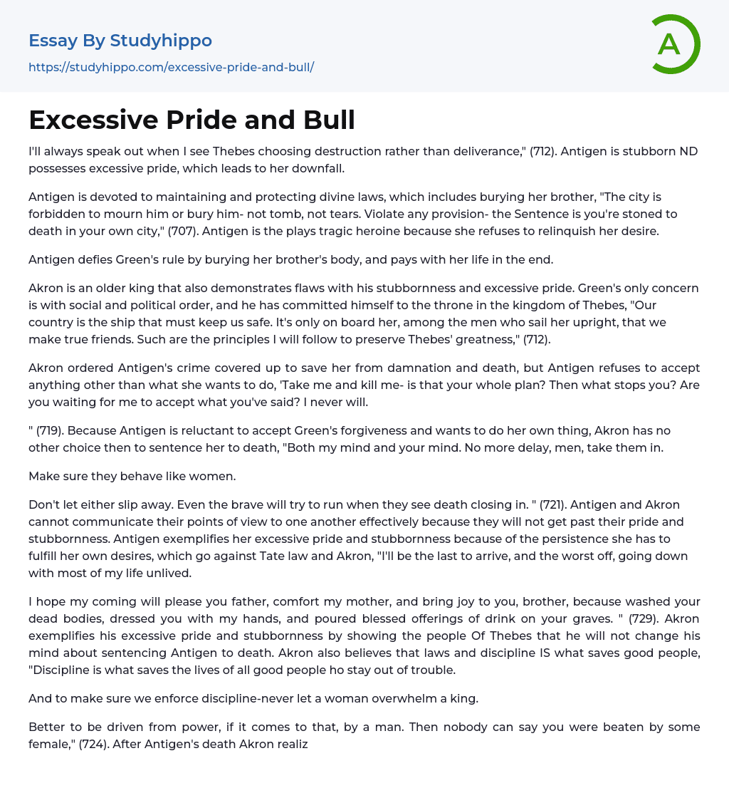 Excessive Pride and Bull Essay Example