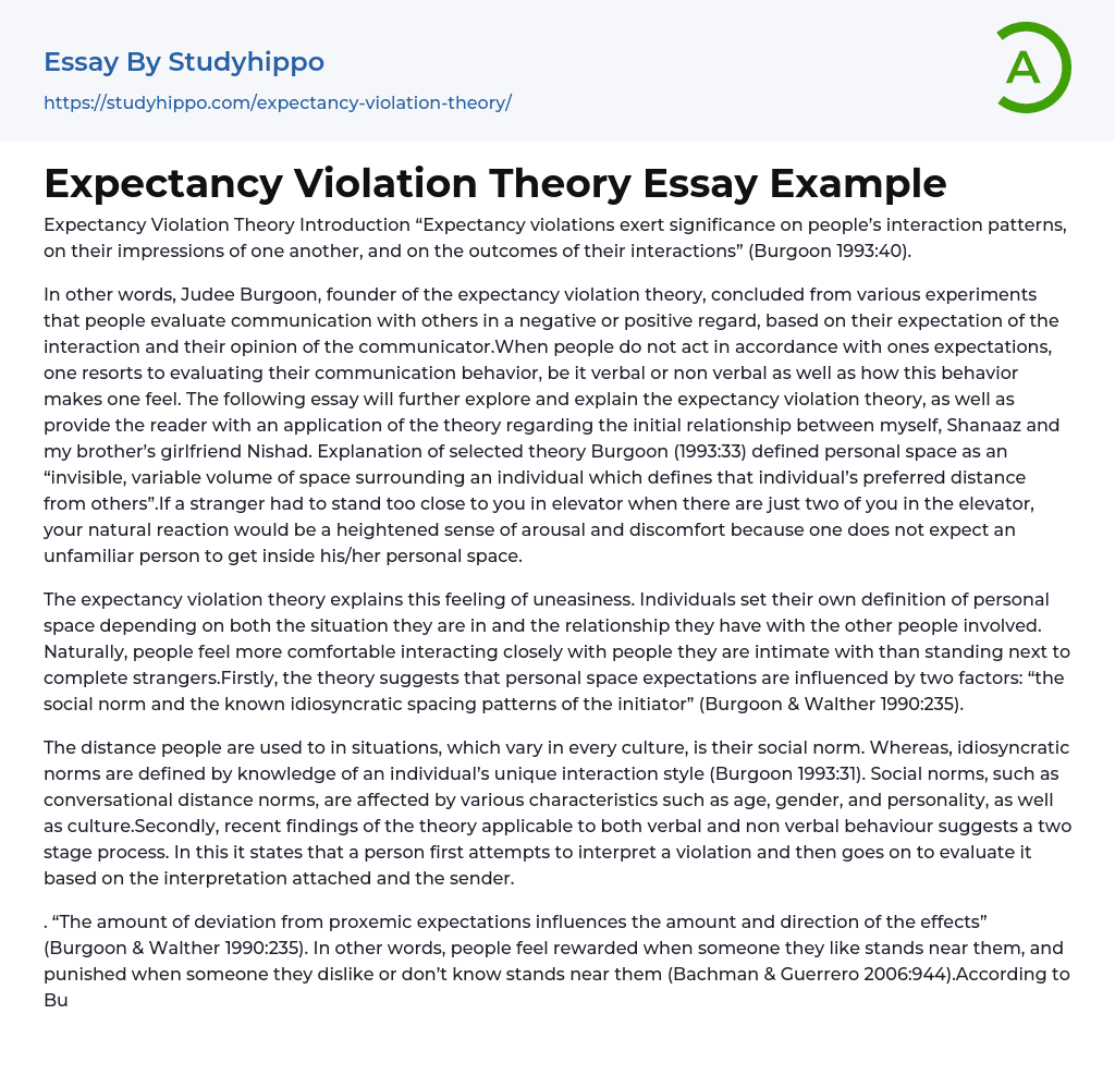 Expectancy Violation Theory Essay Example