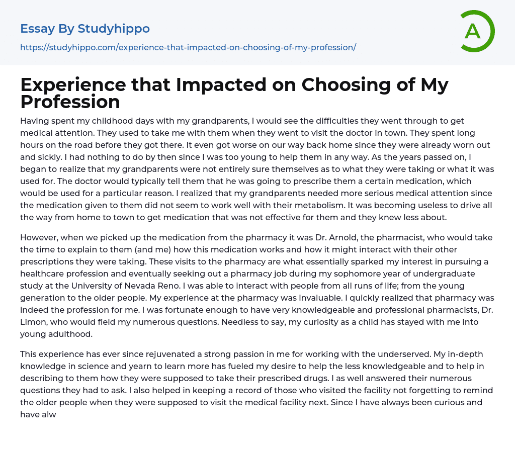 Experience that Impacted on Choosing of My Profession Essay Example