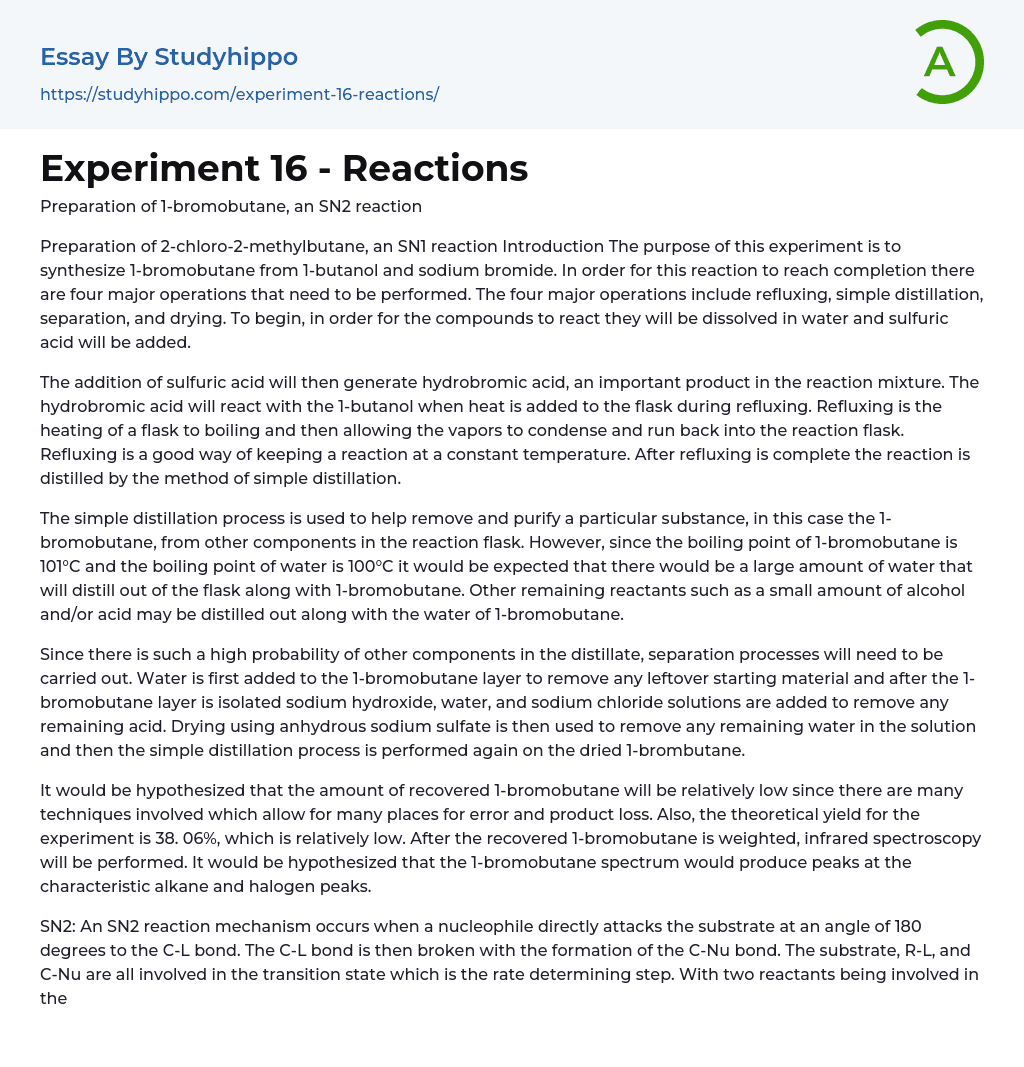 Experiment 16 – Reactions Essay Example