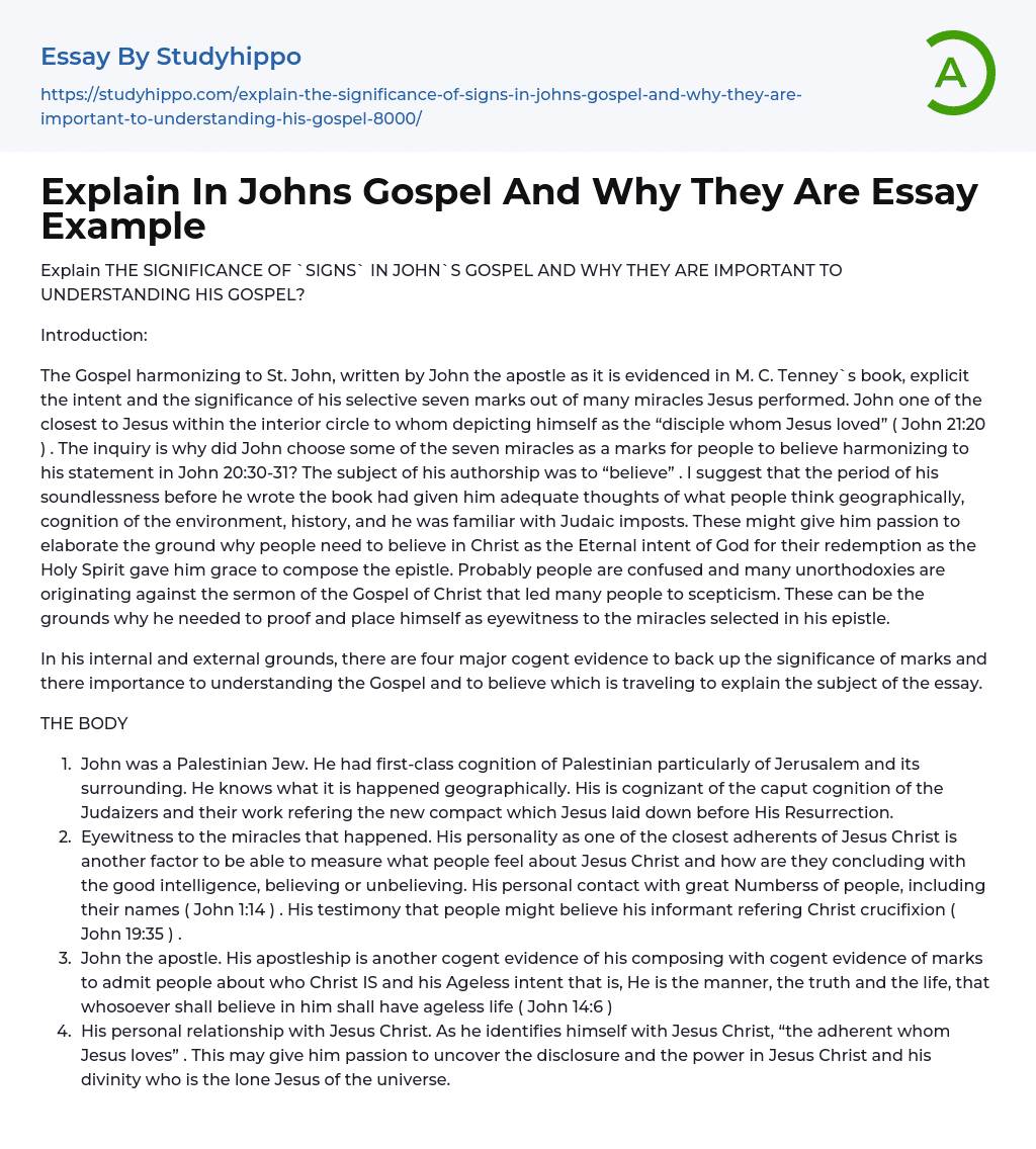 Explain In Johns Gospel And Why They Are Essay Example