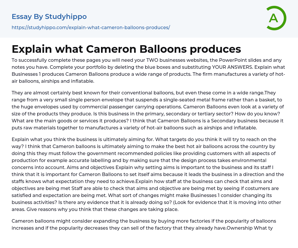 Explain what Cameron Balloons produces Essay Example