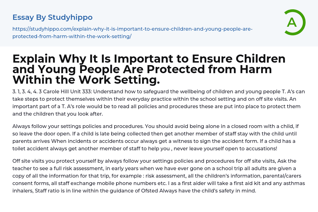 Why It Is Important to Ensure Children and Young People? Essay Example