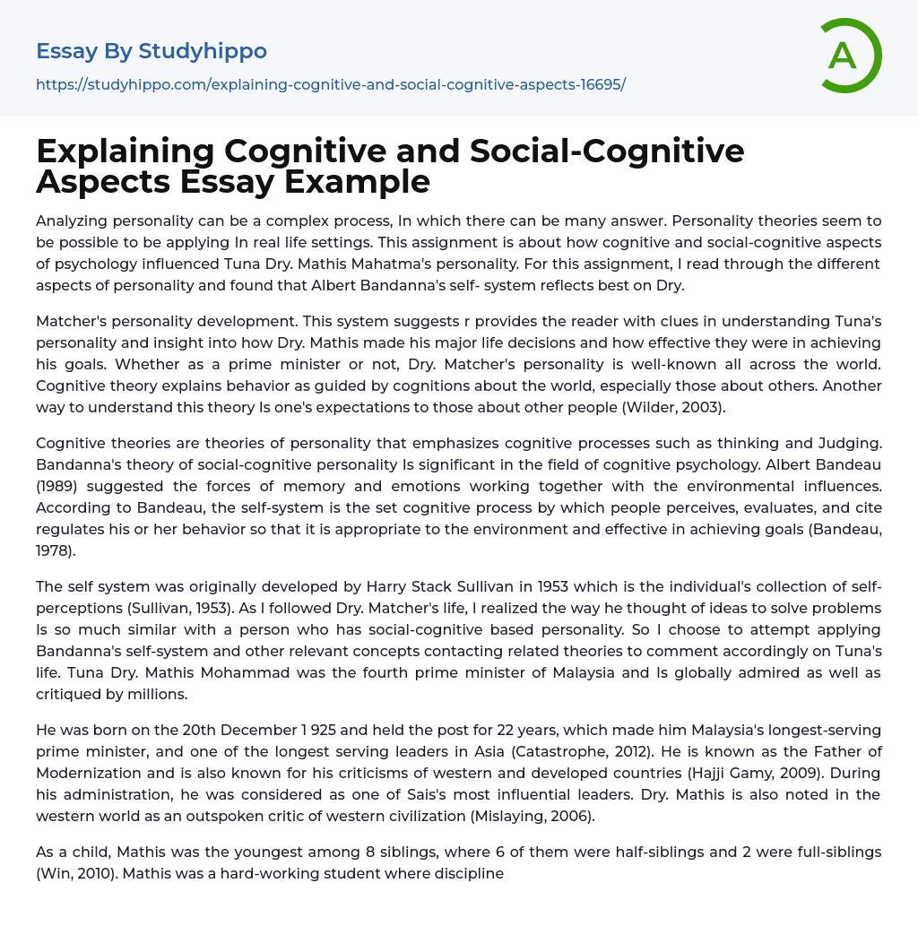 Explaining Cognitive and Social-Cognitive Aspects Essay Example