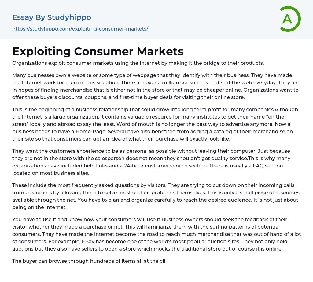 Exploiting Consumer Markets Essay Example