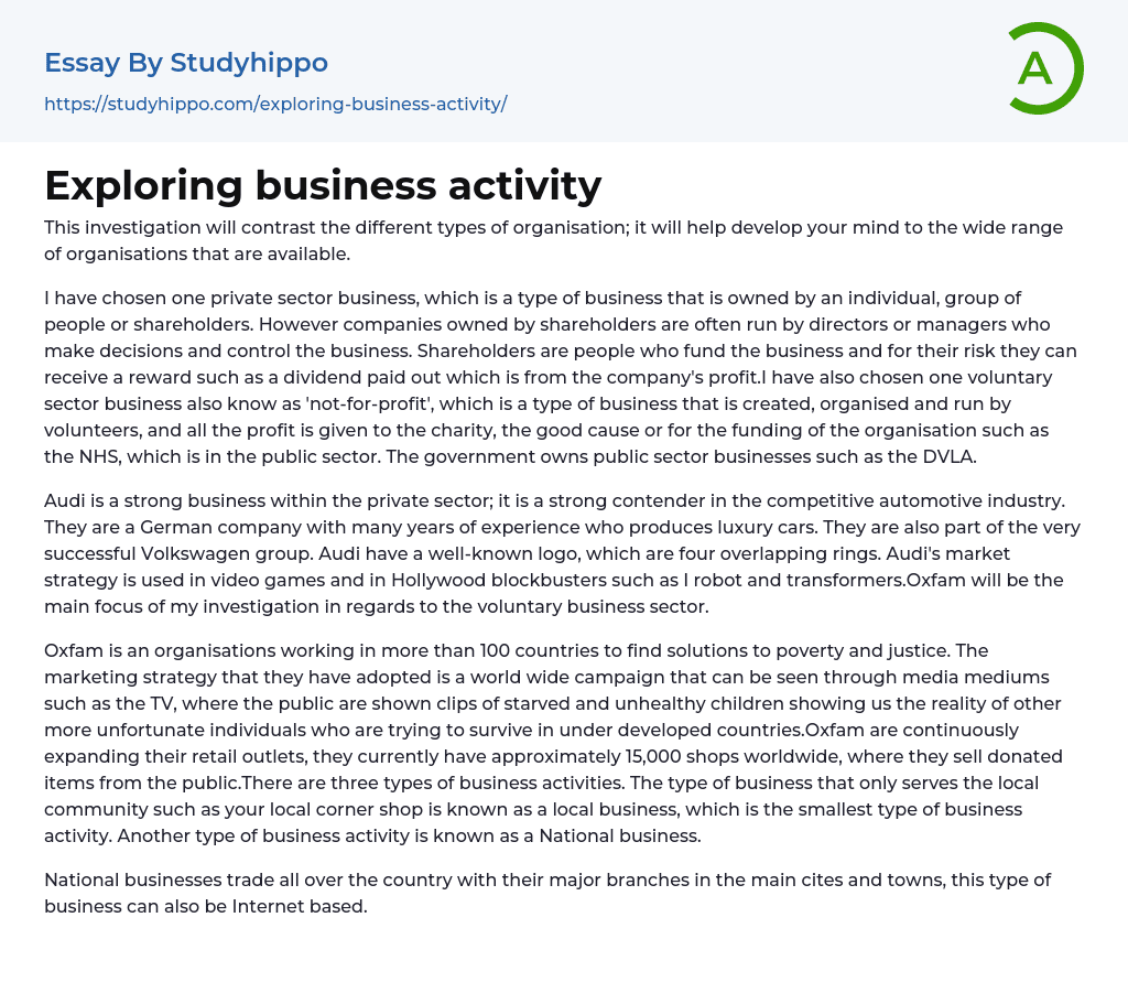 Exploring business activity Essay Example