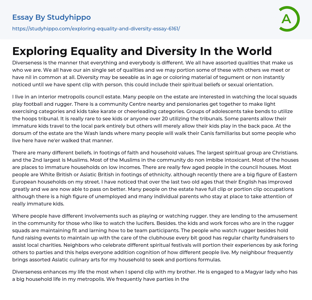 Exploring Equality and Diversity In the World Essay Example